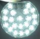 Lamp G4 21 LED 12V DC White